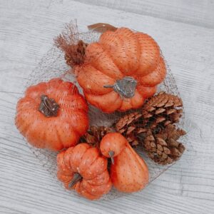 Sacchetto Zucche 9 Pezzi