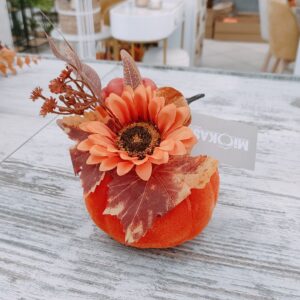 Deco zucca Autunno 16*18cm