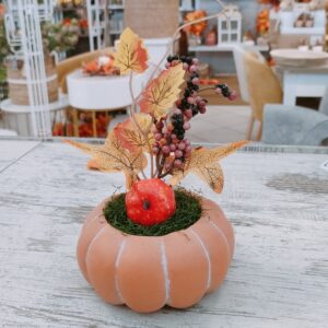 Vasetto Autunnale Zucchette Flat (Arancio) 11*11*20cm